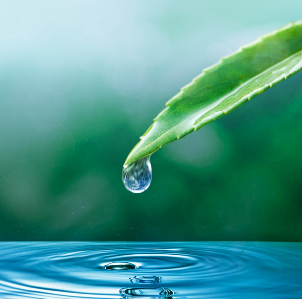 Cada gota cuenta
