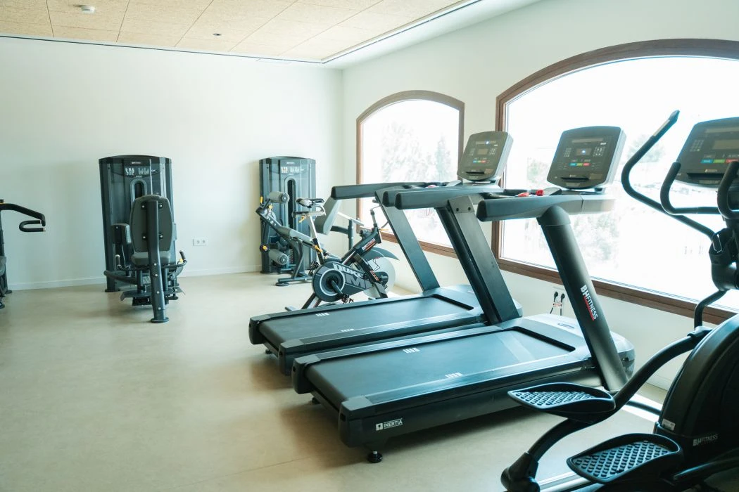 Gimnasio